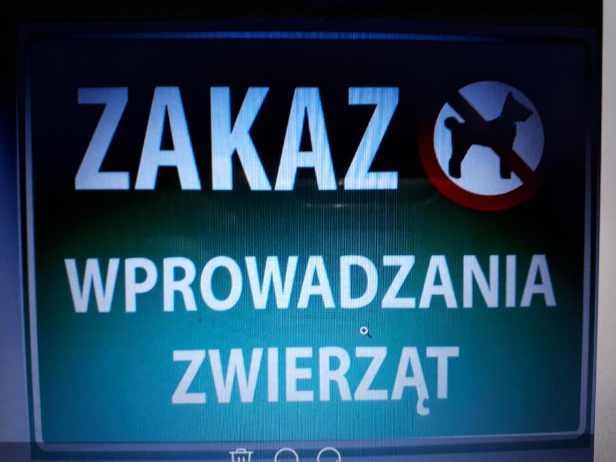 Glogow Przy Grodzkiej Apartment ภายนอก รูปภาพ